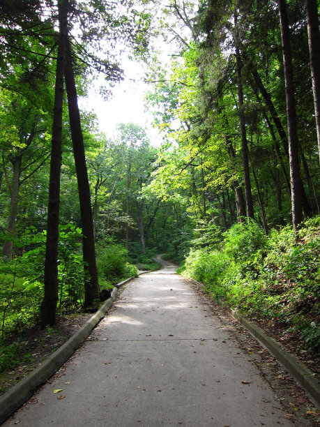 绿色通道图片下载