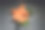 煮熟的虾,虾图片下载