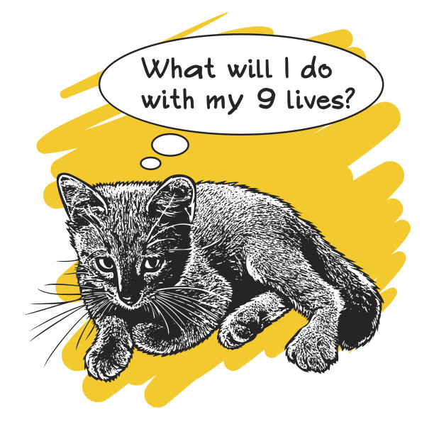 带着泡泡和关于九条生命的短信的小猫咪。图片下载