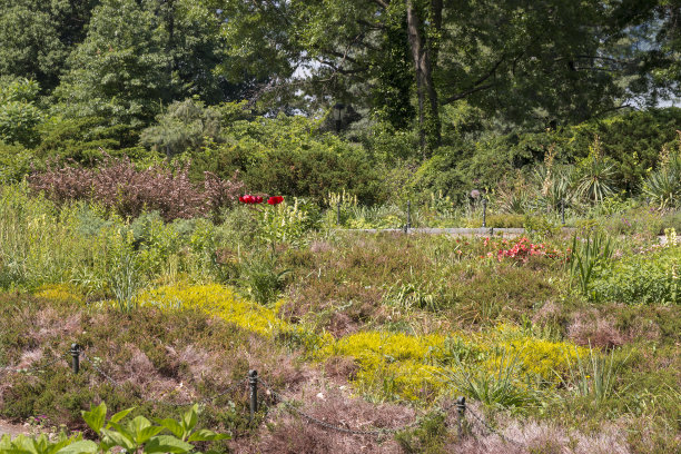 初夏在纽约特赖恩堡公园图片下载
