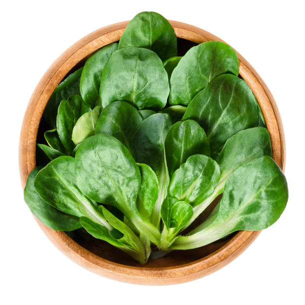 木碗里的玉米沙拉图片下载