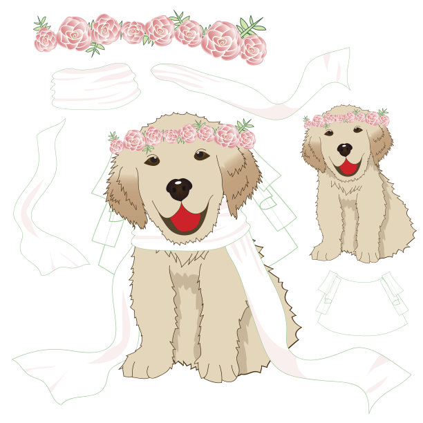 小狗金毛新娘冠粉红玫瑰花图片下载