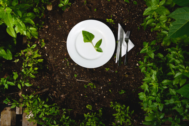 白色盘子，绿叶。食物来自花园。图片下载