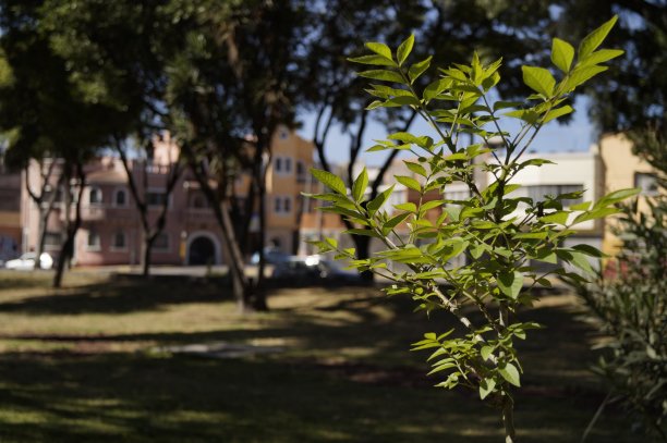 自然与文明图片下载