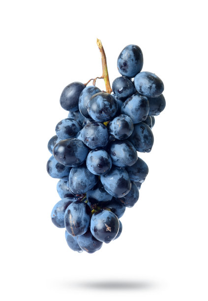 一串带有水滴的葡萄，孤立在白色背景上图片下载