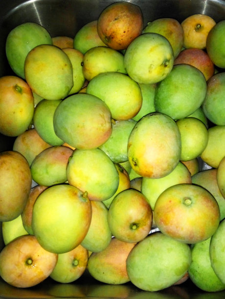 Semi-ripen芒果图片下载