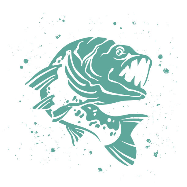 向量掠夺性派克。Iimage的鱼。图片下载