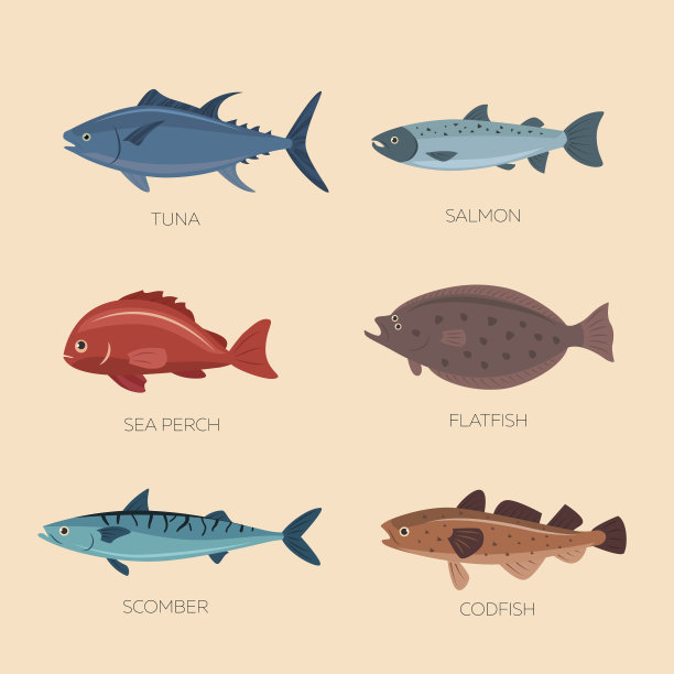 可爱的卡通比目鱼图片下载