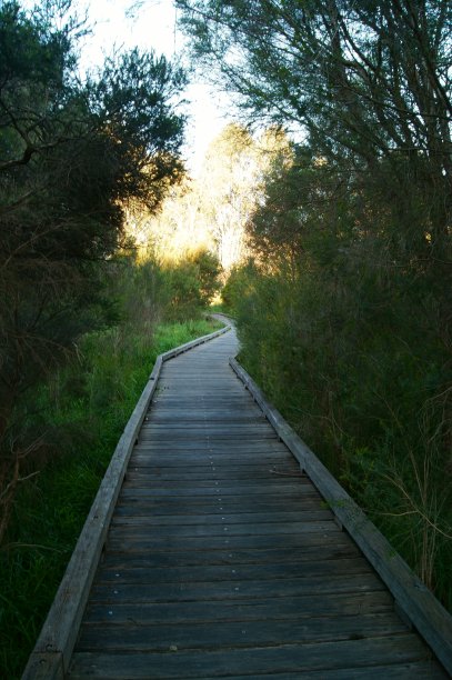 长木板路图片下载