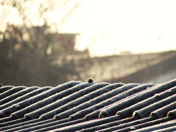 冰冻的屋顶图片下载