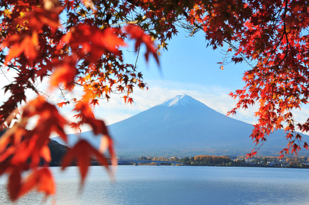 富士山和枫叶在川口湖，日本图片下载