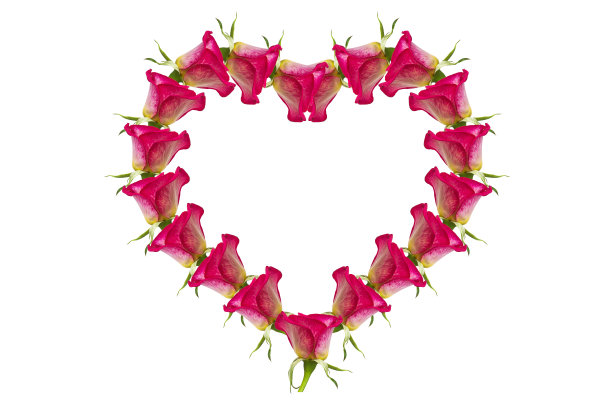 玫瑰粉色的心花图片下载