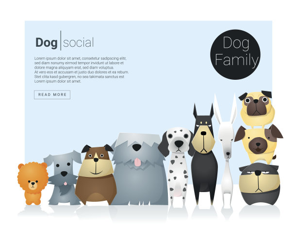动物横幅与狗的网页设计9图片下载