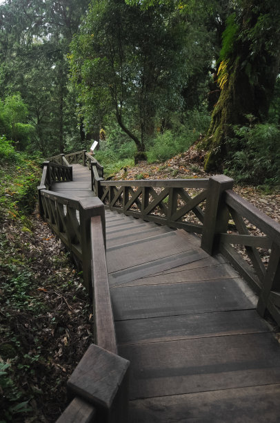 台湾亚洲花园的旧木楼梯图片下载