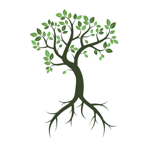 绿色的树和根。矢量插图。图片下载