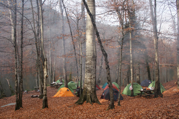 秋天在森林里搭帐篷图片下载