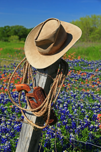 牛仔和手枪图片下载