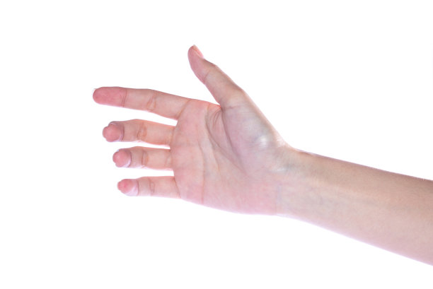 打开女人的手在白色的背景图片下载