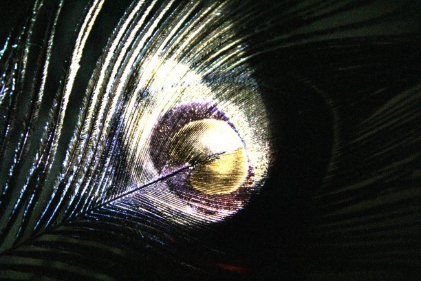 抽象艺术图片下载