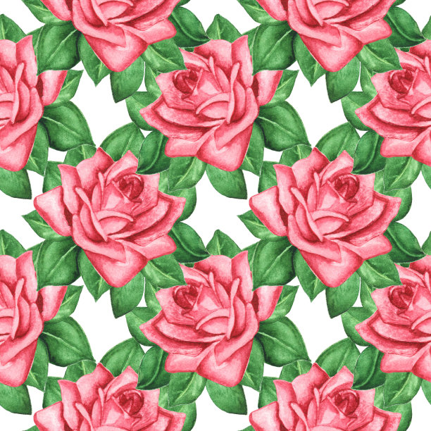 水彩无缝图案与玫瑰花，绿叶素材图片