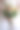 新娘花束图片下载