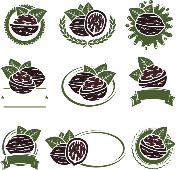 核桃坚果标签和元素设置。向量图片下载