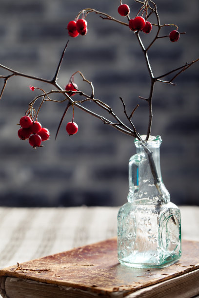 万圣节,哥特式背景。山楂悠闲。图片下载