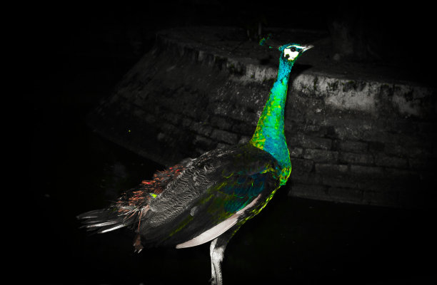 想象一下这个世界是多么美丽图片下载