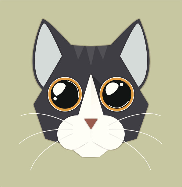 猫的脸图片下载