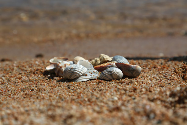 壳牌海图片下载
