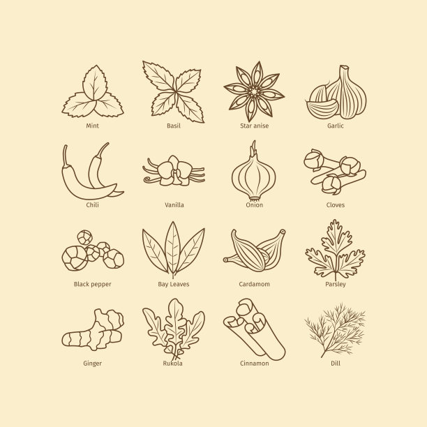 调味品和香料系列图标集图片下载