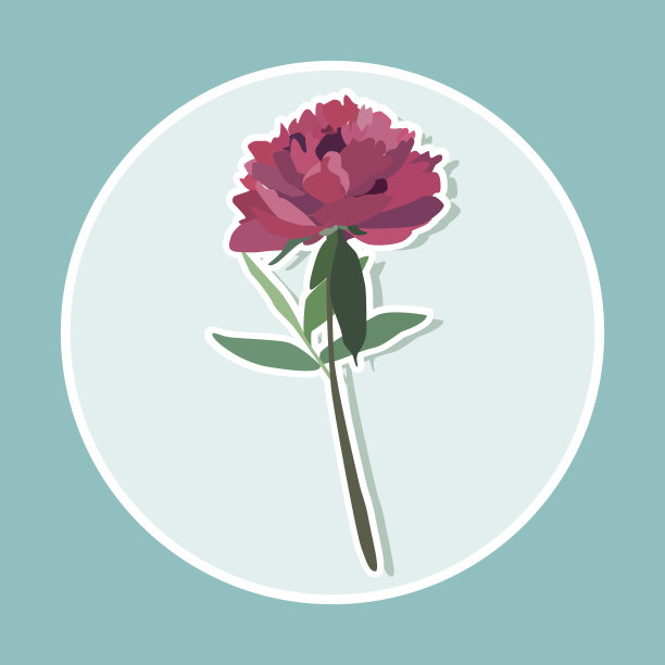 蓝色背景上的牡丹花图片下载