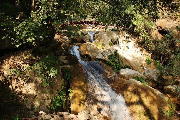 森林中的瀑布图片下载