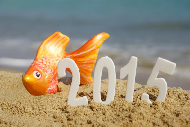 海滩上的新年数字图片下载