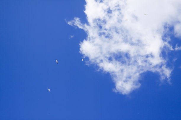 蓝天白云图片下载