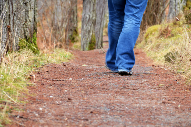 走在森林里图片下载