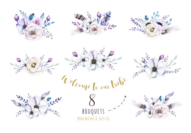 一套水彩古董花束，鸟与羽毛。薄图片下载