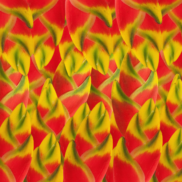 文摘及背景。由向日葵叶子制成。图片下载