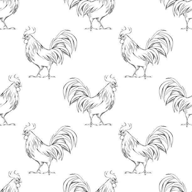 公鸡。无缝模式1。背景与线条插图图片下载