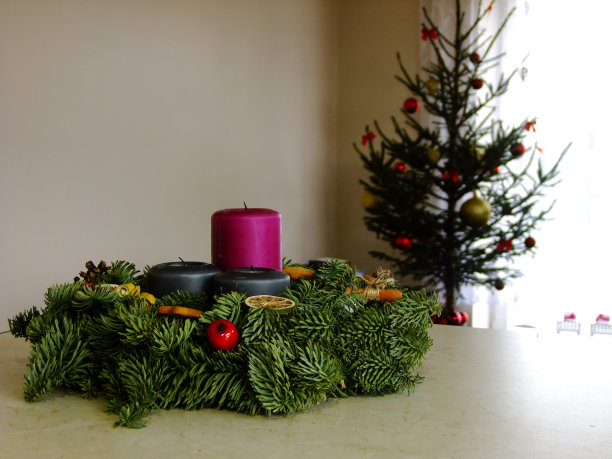 美丽的杉木圣诞花环图片下载