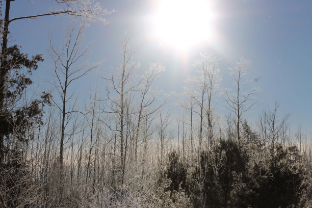 寒冷晴朗的冬日图片下载