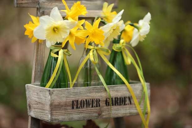 春天的花朵装在花园里的绿色瓶子里。复活节装饰图片下载
