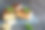 巧克力焦糖饼干图片下载