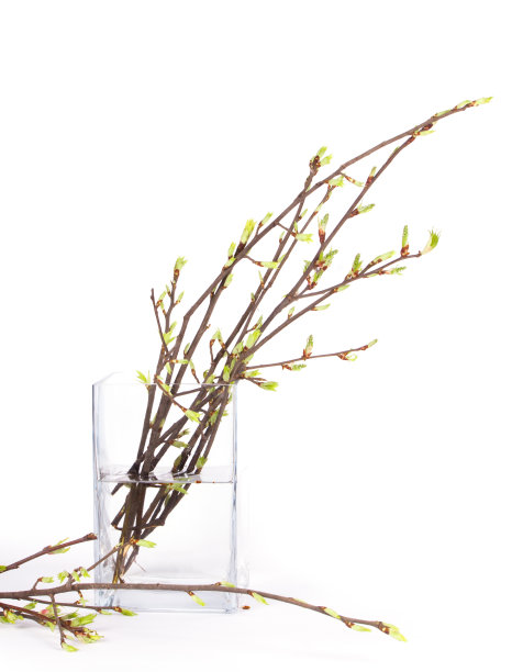 春枝花瓶图片下载