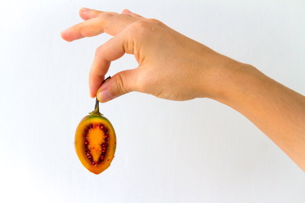 一半的番茄图片下载