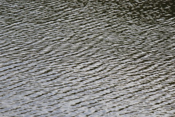 水面有波纹和景观反射图片下载