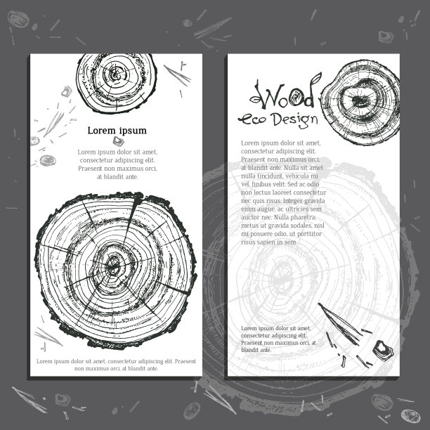 手绘矢量木片。松树。有机现代生态图片下载