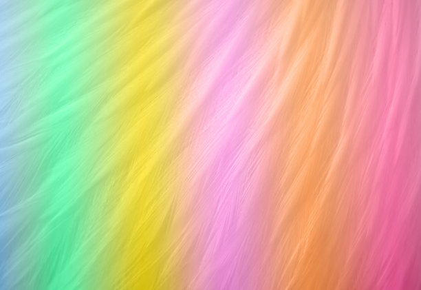 鸡的羽毛图片下载