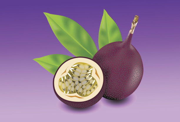 百香果，分离病媒果图片下载