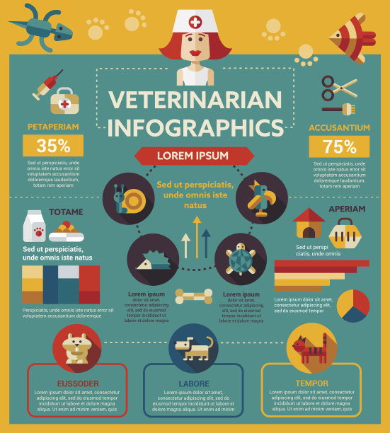 兽医服务-海报，小册子封面模板图片下载